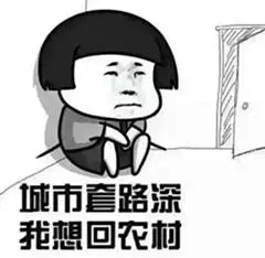 律无处不在别怪我没提醒你J9国际集团新加坡奇葩法(图3)