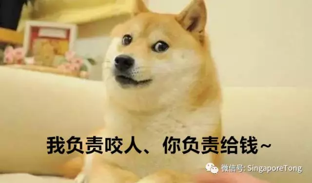 律无处不在别怪我没提醒你J9国际集团新加坡奇葩法(图10)
