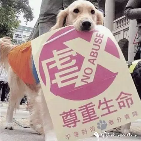 律无处不在别怪我没提醒你J9国际集团新加坡奇葩法(图11)