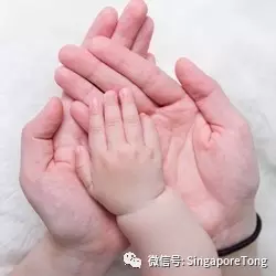律无处不在别怪我没提醒你J9国际集团新加坡奇葩法(图14)